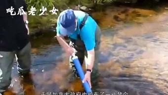 娱乐吃瓜老少女是谁啊,她是如何成为网络红人的?